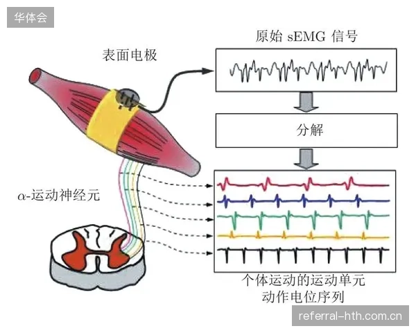 传统“一刀切”的运动康复方案正在退场，基于个体数据的神经网络模型已沉淀为精准治疗依据