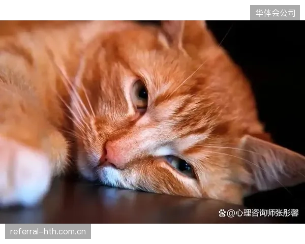 漫长赛季后的心理疲劳或影响决策，球队需关注球员精神状态恢复。